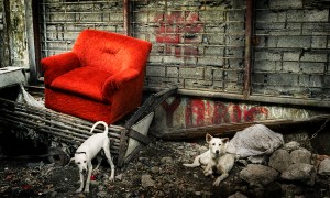 abandoned couch manila